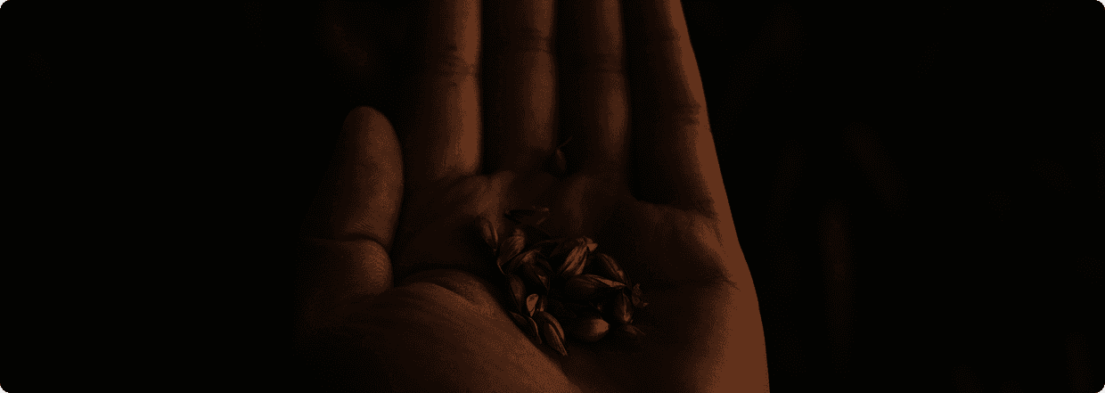 Children holding hands